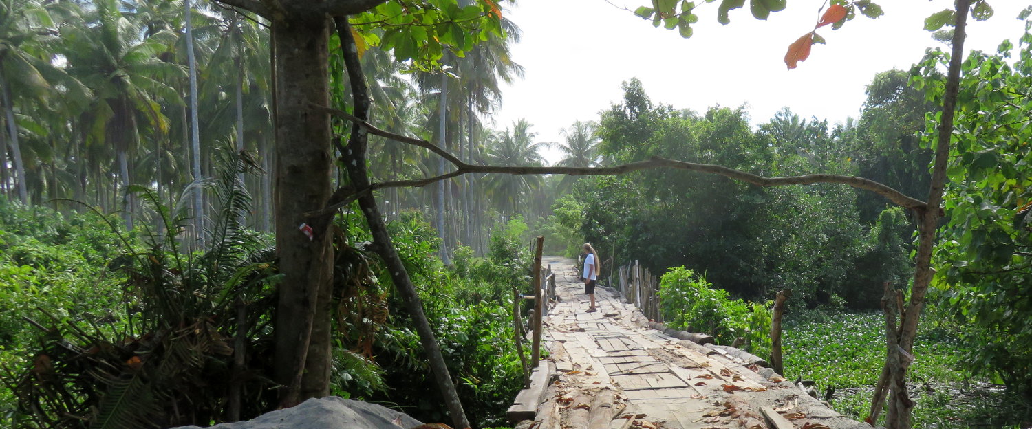 Wooden bridge Mandiri Sejati, Sumatra
