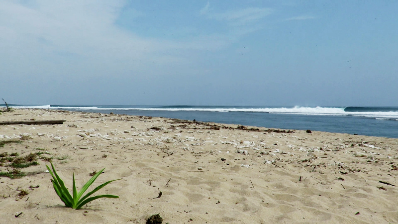 Beach Way Jambu Sumatra