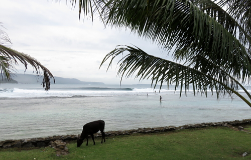 Jennys Point South Sumatra